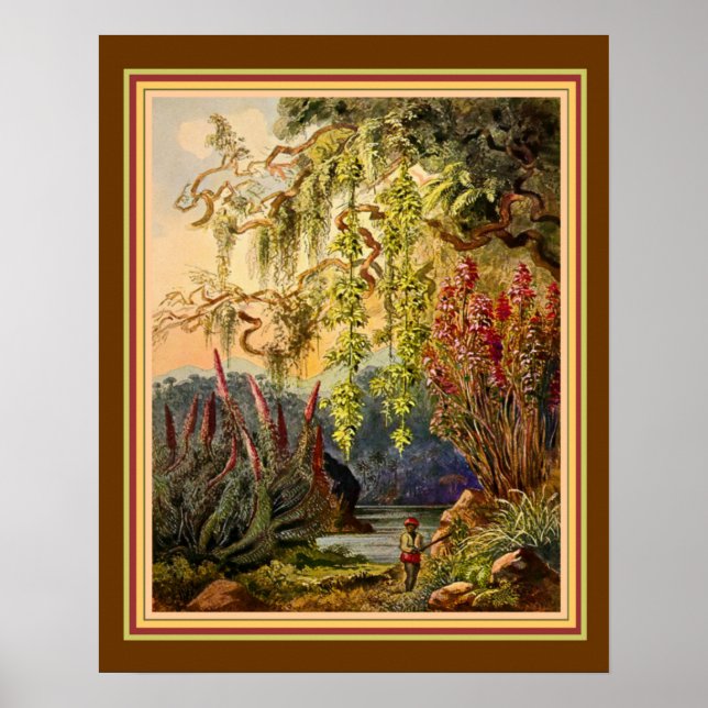 "Hanging Bamboo of Sri Lanka" by Haeckel ca. 1882 Poster (Front)