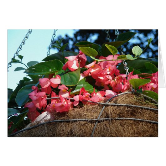 Hanging Basket Flowers Cards (Front Horizontal)