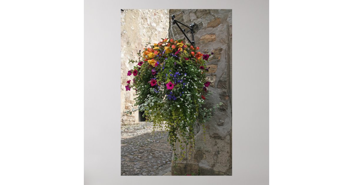 Hanging Basket Poster Zazzle