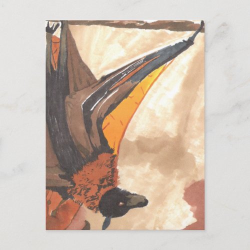 Hanging Bat Postcard