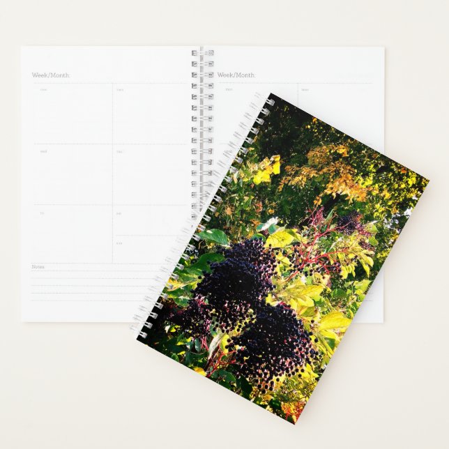 Hanging black berries planner (Display)