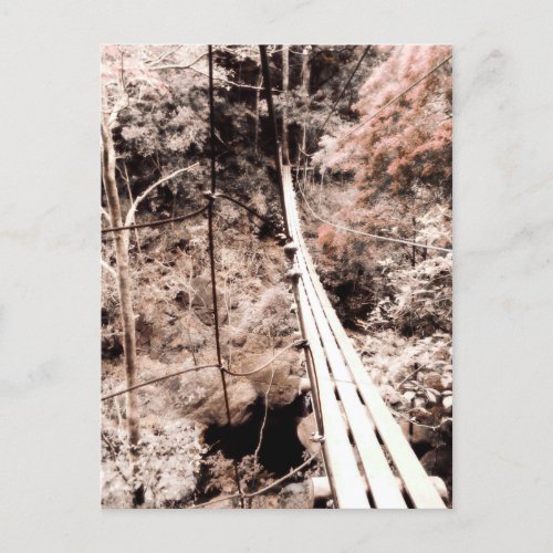 hanging bridge postcard