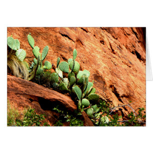 Hanging Cactus Garden Zion National Park UT Blank Cards