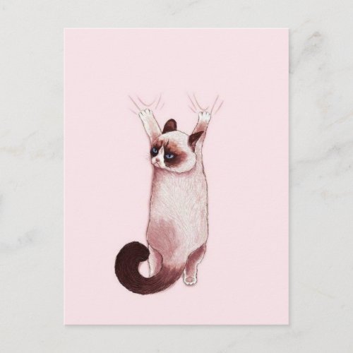 Hanging Cat Postcard