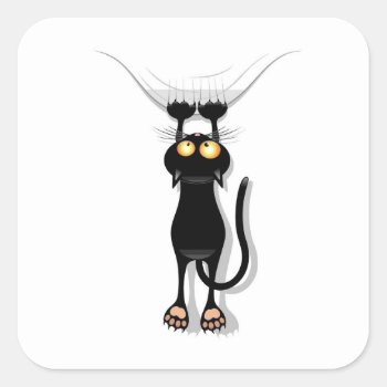 Hanging Cat Square Sticker by mitmoo3 at Zazzle