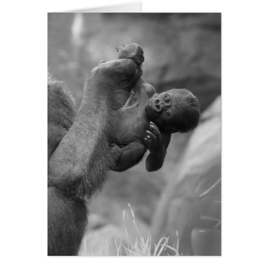 Hanging Gorilla Baby Cards (Front)