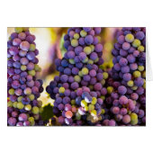 Hanging Grape Bunches (Front Horizontal)