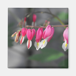 Hanging Hearts Magnet