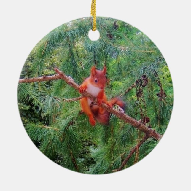 Hanging in There Ceramic Ornament (Back)