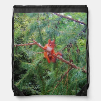 Hanging in There Drawstring Bag