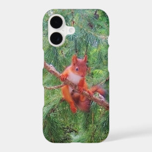 Hanging in There iPhone 17 Case