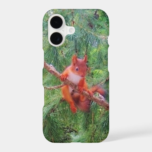 Hanging in There iPhone Case (Back)