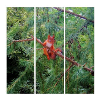 Hanging in There Triptych