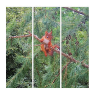 Hanging in There Triptych