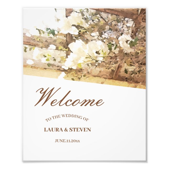 Hanging jasmine flowers photo print (Front)