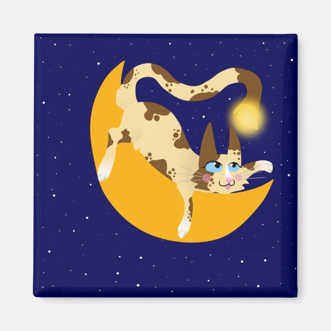 HANGING ON THE MOON MAGNET (Front)