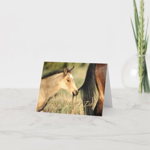 Hanging onto Mama Wild Mustangs Mothers Day Card