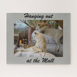 Hanging out at the mall puzzle