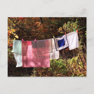 "Hanging Out" No.1 POSTCARD Clothesline