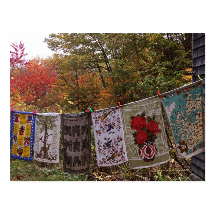 Hanging Out No 2 Postcard Vintage Clothesline Zazzle Com Still in original packaging but the cardboard back is missing. zazzle