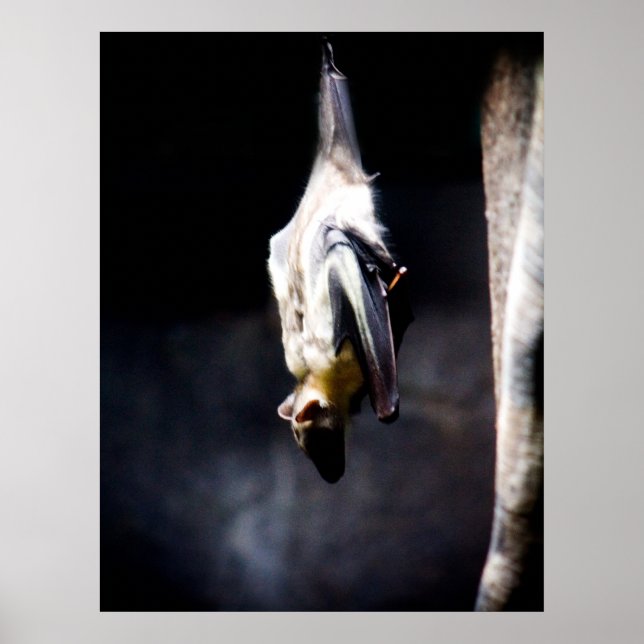 Hanging out poster (Front)