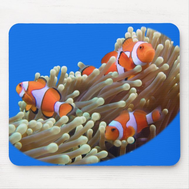 Hanging Out with Clown Fish Mouse Pad (Front)