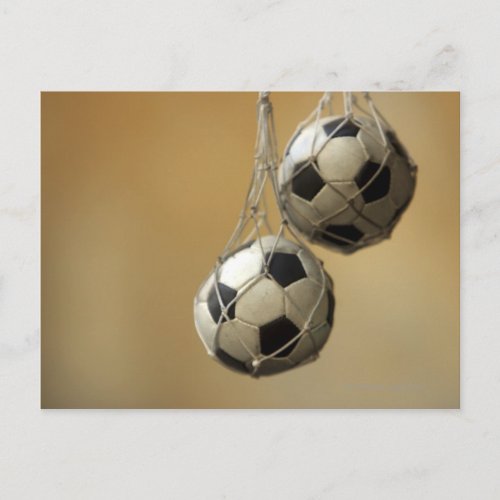 Hanging Soccer Balls Postcard