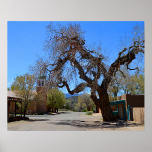 Hanging Tree, Cerrillos, New Mexico Poster