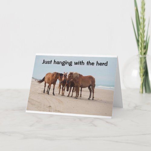 HANGING WITH THE HERD BIRTHDAY GREETINGS CARD