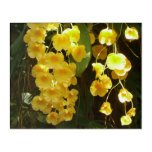 Hanging Yellow Orchids Tropical Flowers Acrylic Print