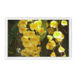 Hanging Yellow Orchids Tropical Flowers Acrylic Tray