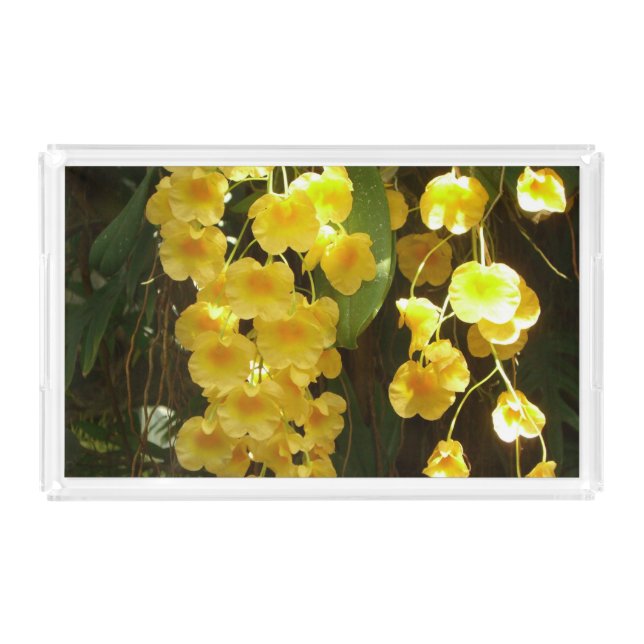 Hanging Yellow Orchids Tropical Flowers Acrylic Tray (Front)