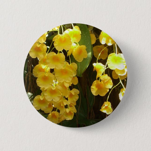 Hanging Yellow Orchids Tropical Flowers Button (Front)