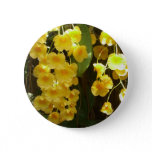 Hanging Yellow Orchids Tropical Flowers Button