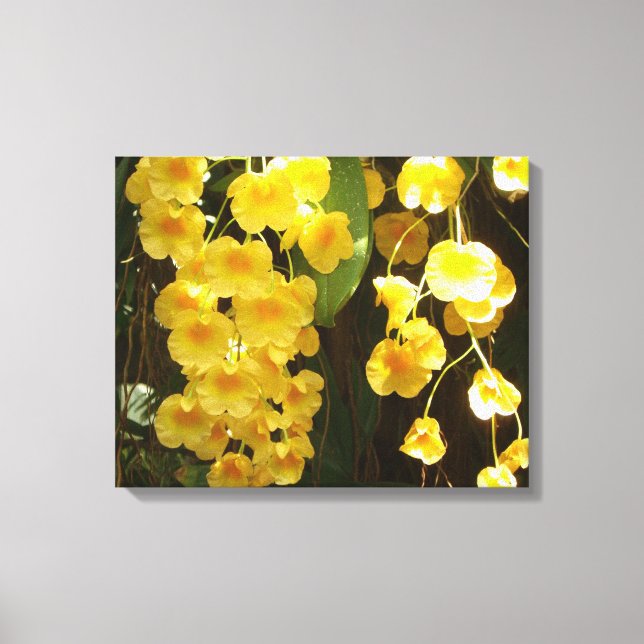 Hanging Yellow Orchids Tropical Flowers Canvas Print (Front)
