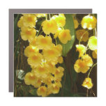 Hanging Yellow Orchids Tropical Flowers Car Magnet