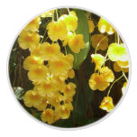 Hanging Yellow Orchids Tropical Flowers Ceramic Knob
