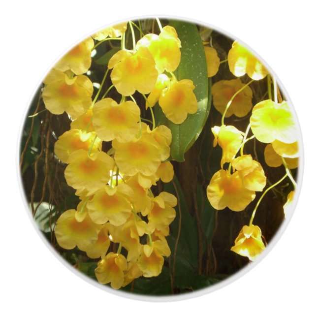 Hanging Yellow Orchids Tropical Flowers Ceramic Knob (Front)