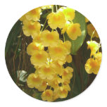Hanging Yellow Orchids Tropical Flowers Classic Round Sticker