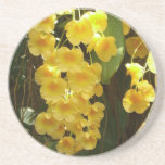 Hanging Yellow Orchids Tropical Flowers Coaster