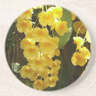Hanging Yellow Orchids Tropical Flowers Coaster