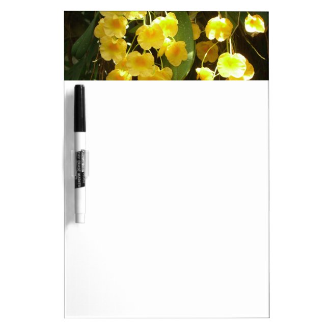 Hanging Yellow Orchids Tropical Flowers Dry Erase Board (Front)