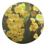 Hanging Yellow Orchids Tropical Flowers Eraser