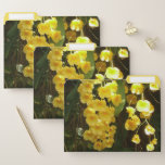 Hanging Yellow Orchids Tropical Flowers File Folder