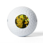 Hanging Yellow Orchids Tropical Flowers Golf Balls