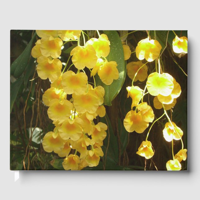Hanging Yellow Orchids Tropical Flowers Guest Book (Front)