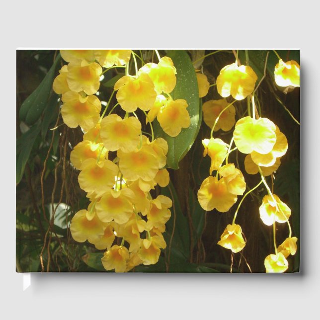 Hanging Yellow Orchids Tropical Flowers Guest Book (Front)