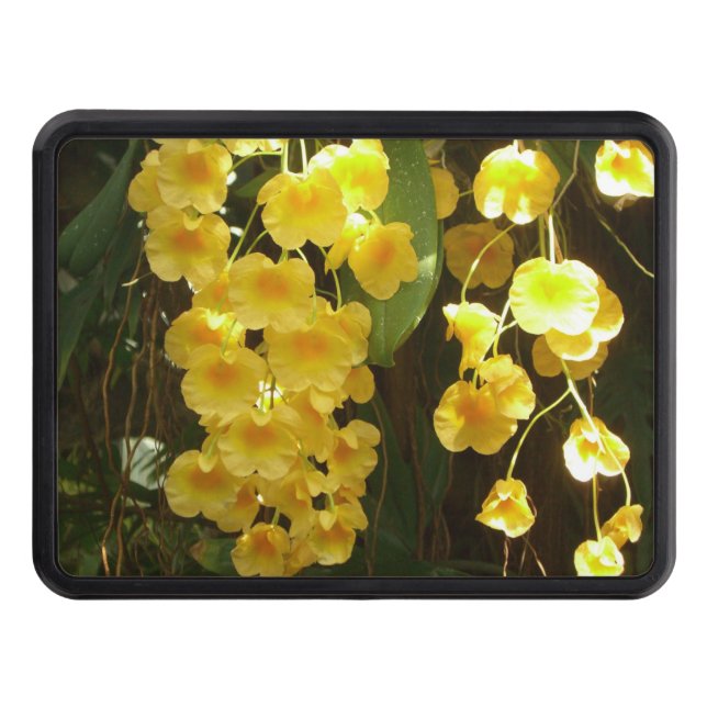 Hanging Yellow Orchids Tropical Flowers Hitch Cover (Front)