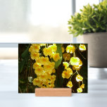 Hanging Yellow Orchids Tropical Flowers Holder