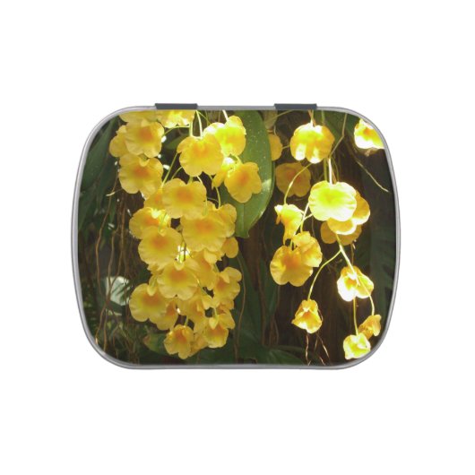 Hanging Yellow Orchids Tropical Flowers Jelly Belly Tin (Top)